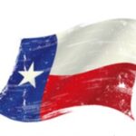 Texas Flag Image for Texas Drum & Container Inc. Logo